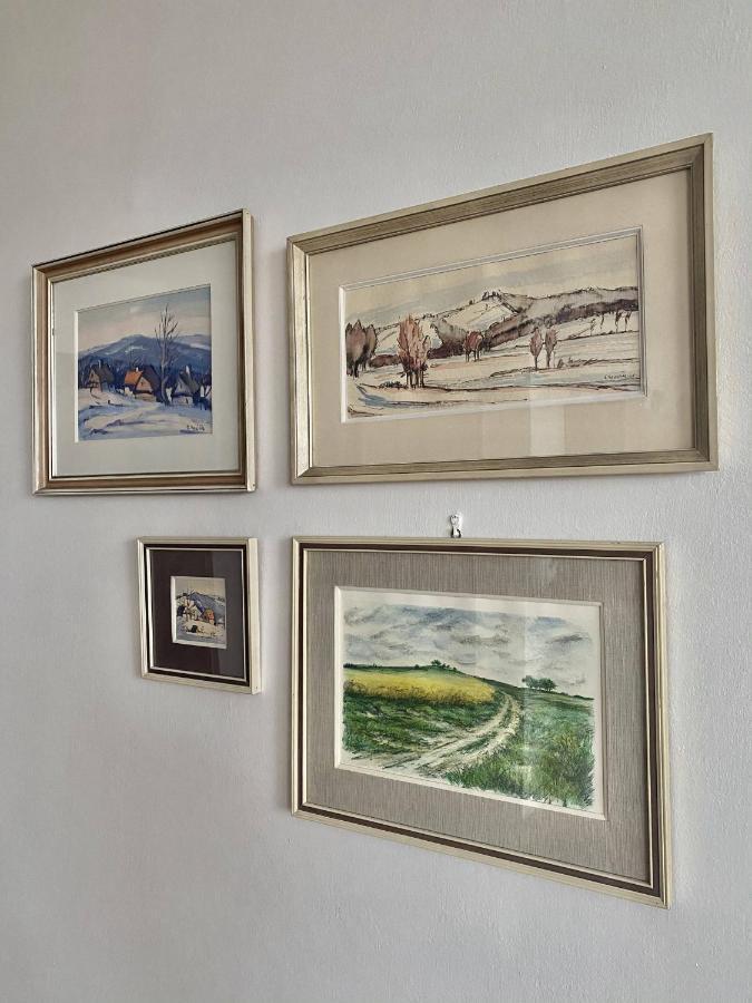 Prázdninový dům Holubka Nove Mesto na Morave Exteriér fotografie